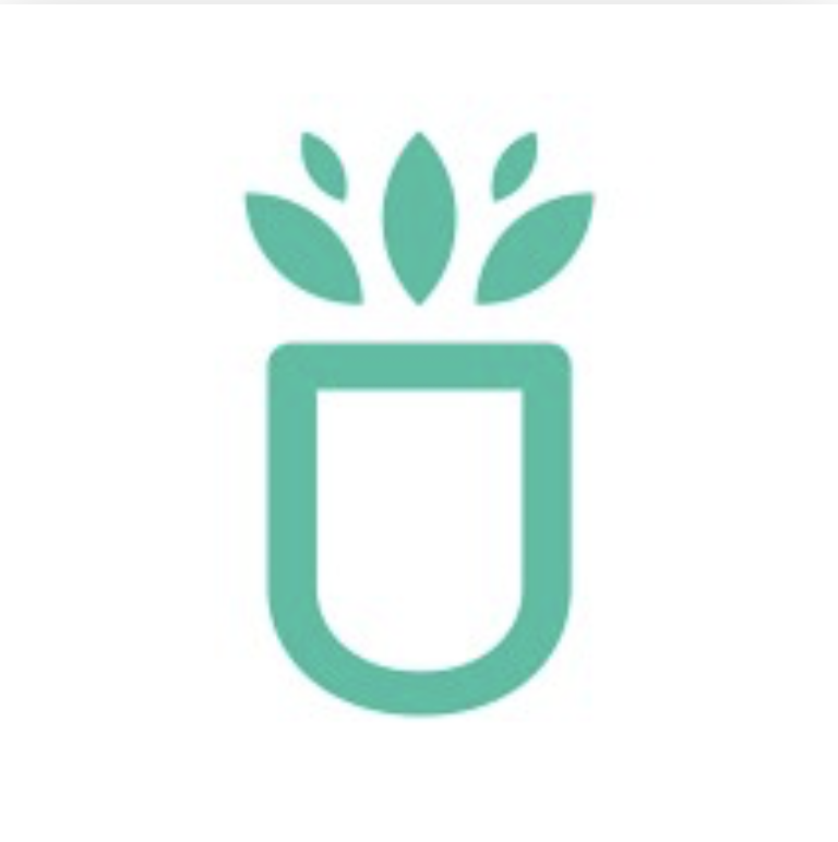 Succulentsbox