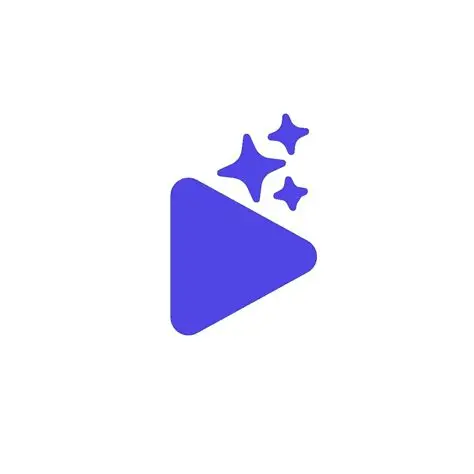 VidWiz AI
