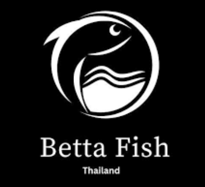 thailandbettafish