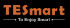 TESmart