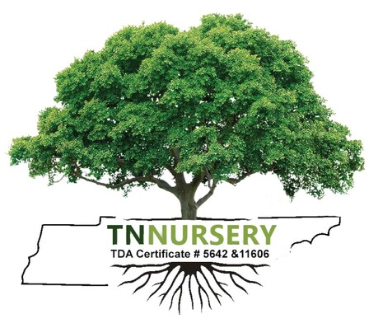 TN Nursery