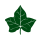 Ivy Sport