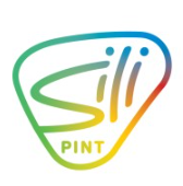 Silipint