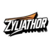 Zyliathor Go kart