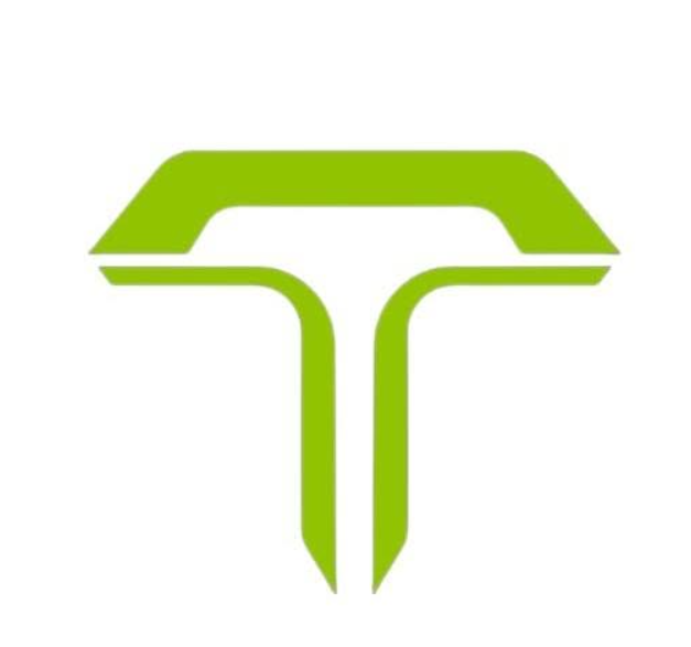 TESWAY EBIKE