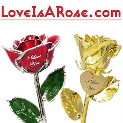 LoveIsARose