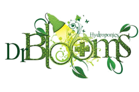 Doctor Blooms