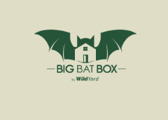 Big Bat Box