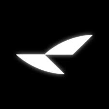 RayNeo