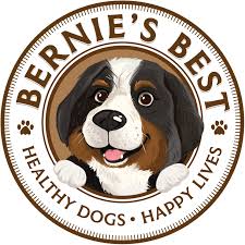 Bernie's Best